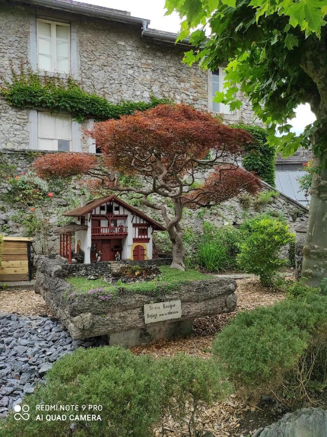 Résidence SERENITY--WIFI--CENTRE VILLE--SANCTUAIRES Lourdes Esterno foto